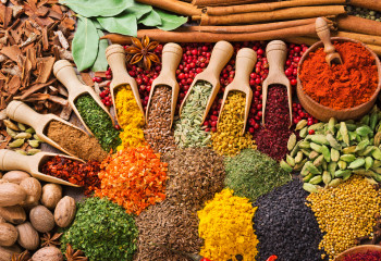 colorful composition with different spices and herbs